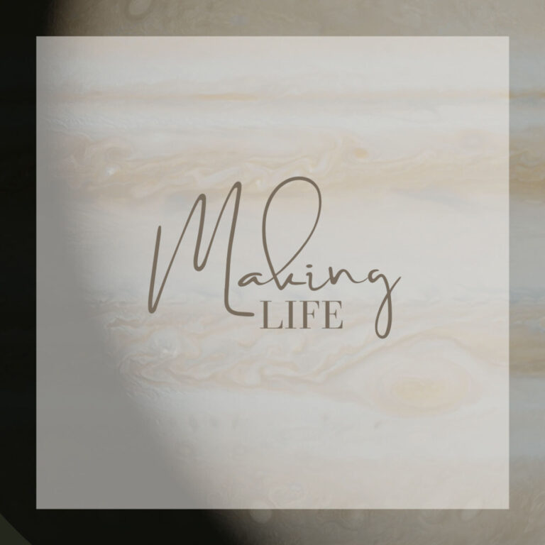 Podcast Cover: "Making Life". The cover is the title of the podcast on a marble patterned background.