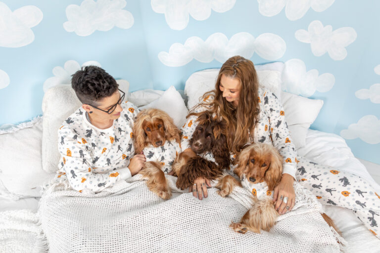 Photo of two people on a bed with three cocker spaniels snuggling.